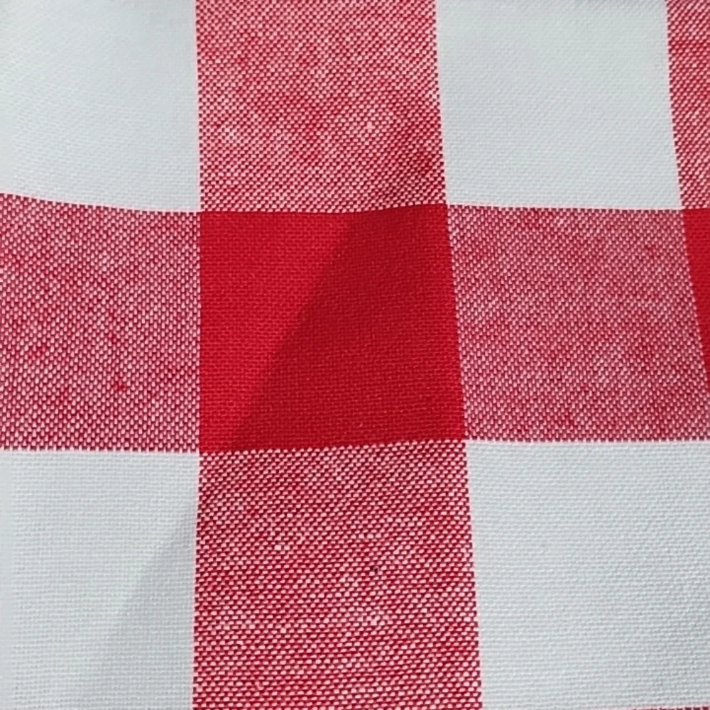 COPY - The Pioneer Woman Red and White Checkered Placemats(Set of 4)